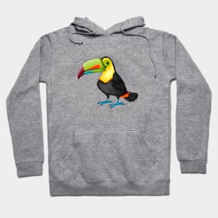 Beautiful and Cute Toucan Bird Hoodie